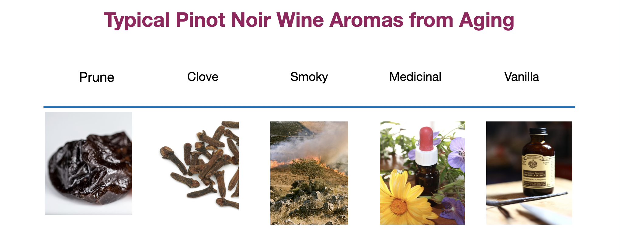 Pinot Noir Wine Aromas Are Complex