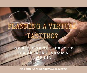 Wine Tasting Etiquette— Things to Do & Things to Avoid