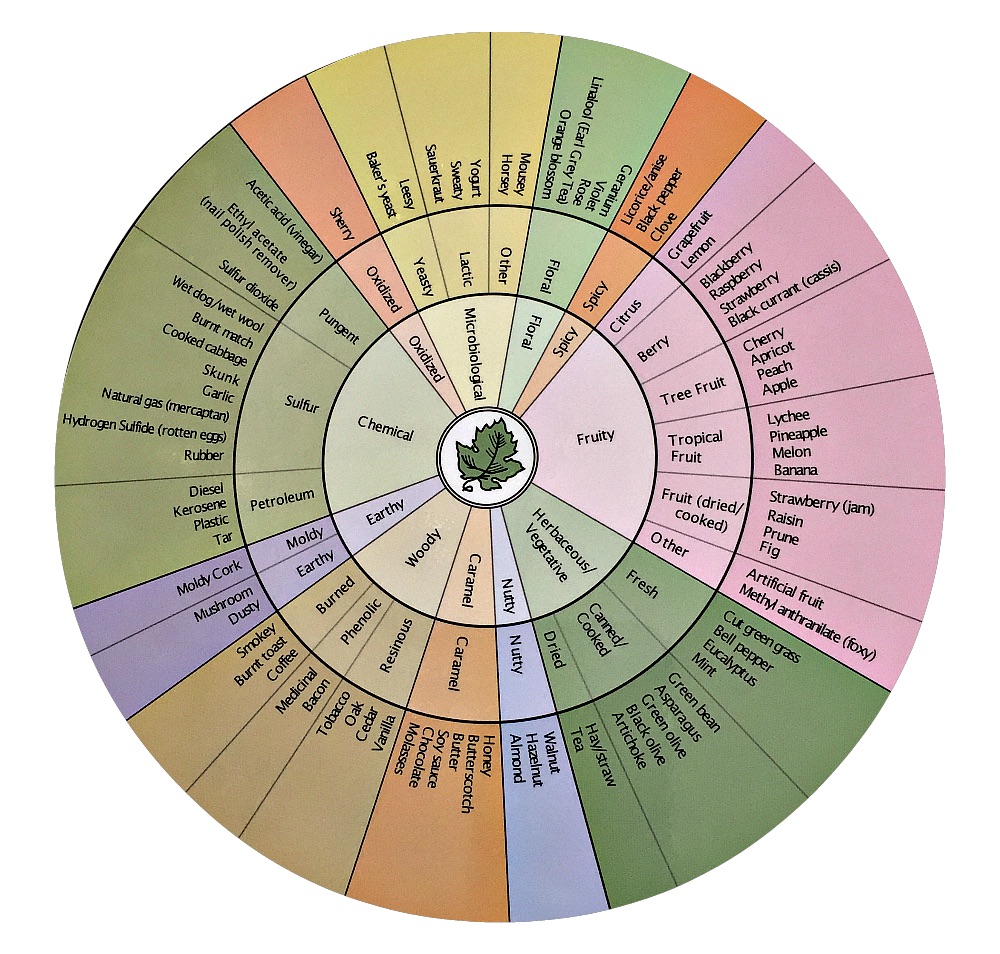 wine-aroma-wheel-what-is-this-tool-created-by-dr-a-c-noble